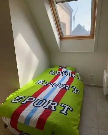 Gaudi 505 *