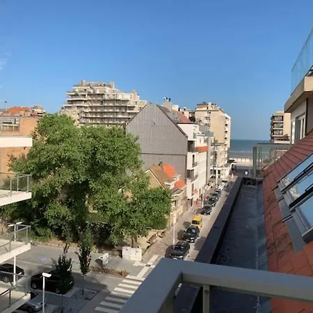 Gaudi 505